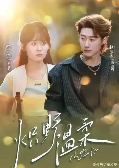 《流人第四季 (Slow Horses S4)》美剧海报，美剧天堂观看说明配图